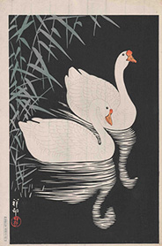 1928(昭和3)年　小原祥邨　二羽の鵞鳥　