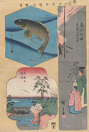 Utagawa Hiroshige 江戸名所張交図絵 亀戸天神菜異種神事 とね川の鯉 御殿山 1857