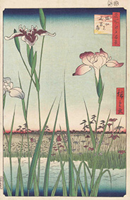 Utagawa Hiroshige 名所江戸百景 堀切の花菖蒲 1857