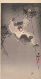 Ohara Koson 竹林の猿 Around 1907