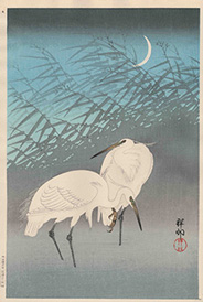 Ohara Shōson 二羽の鷺 1926