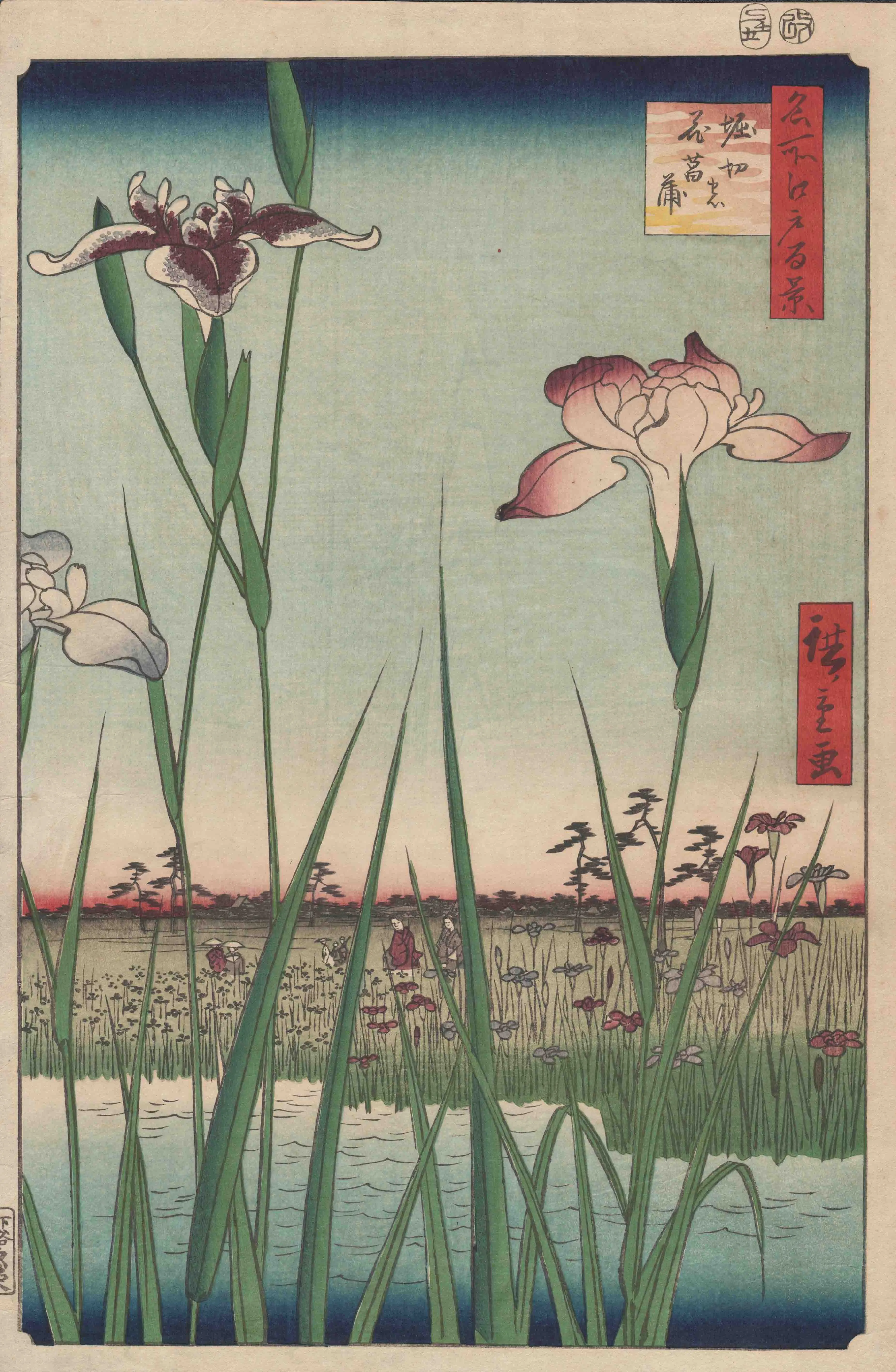「名所江戸百景　堀切の花菖蒲」 歌川広重 安政4（1857）年