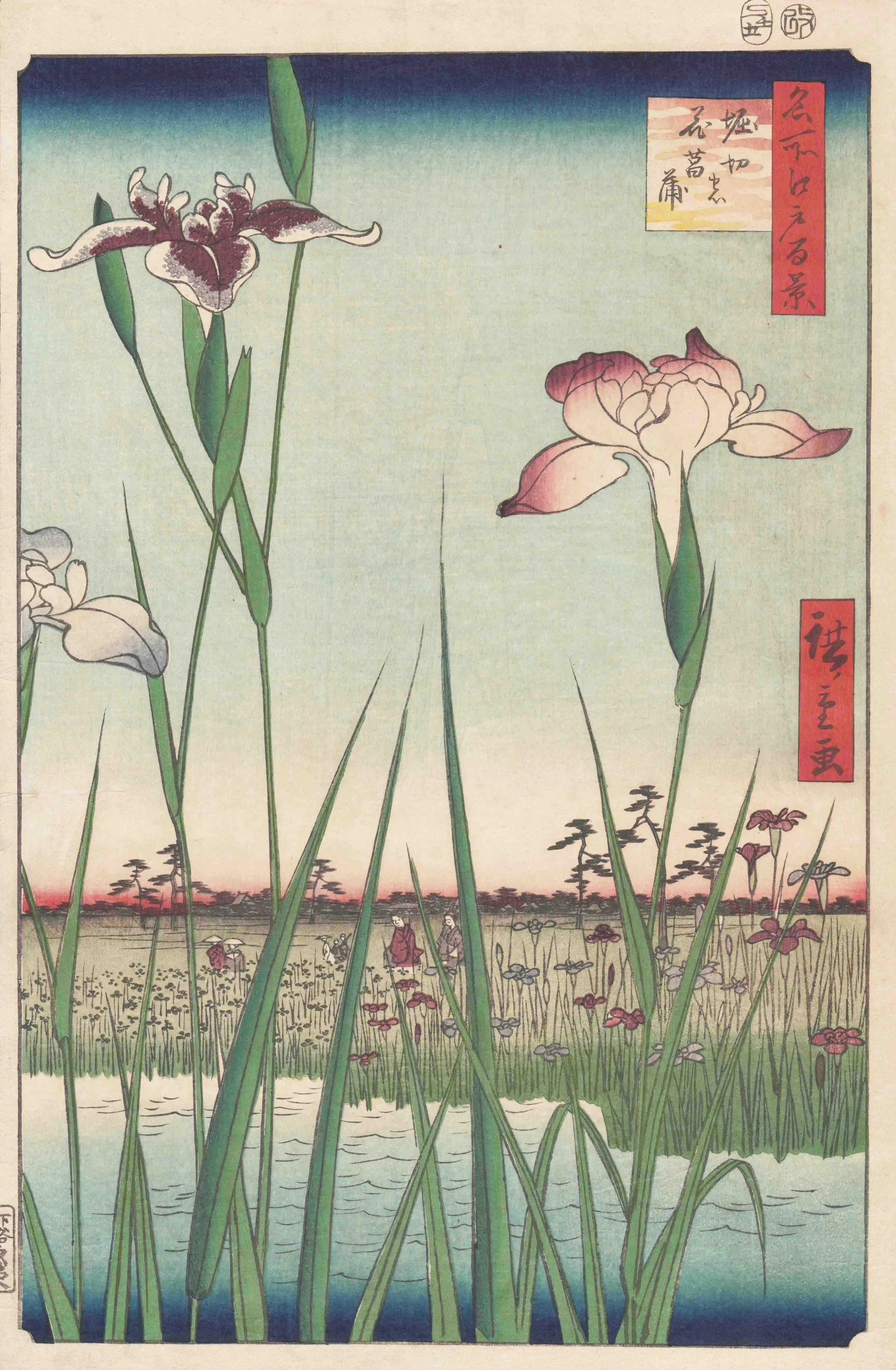 名所江戸百景　堀切の花菖蒲 歌川広重 1857(安政4)年