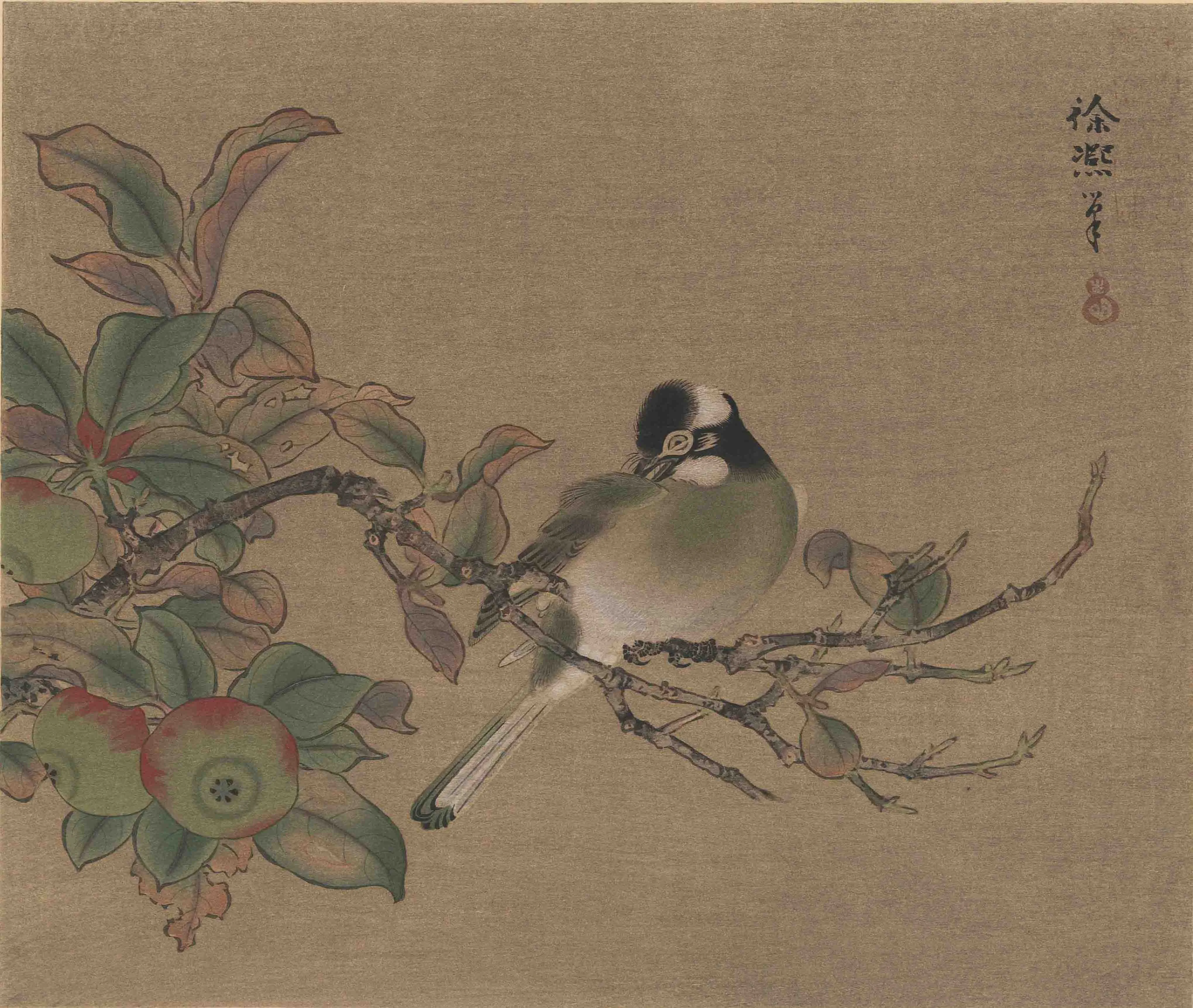 国華 狩野探幽模写 徐熙花鳥図 作者不明 1897(明治30)年