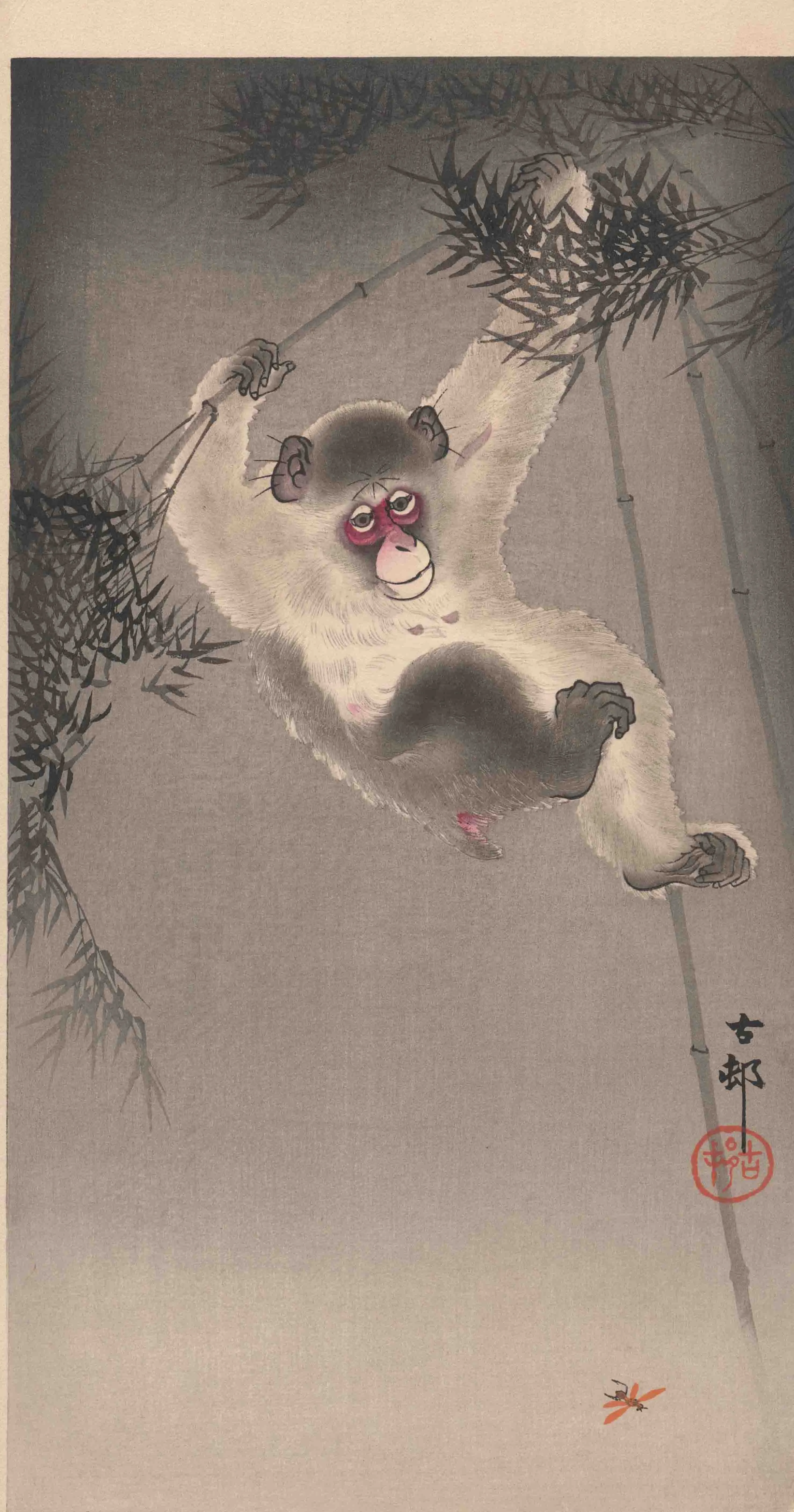 竹林の猿 小原古邨 1907(明治40)年頃