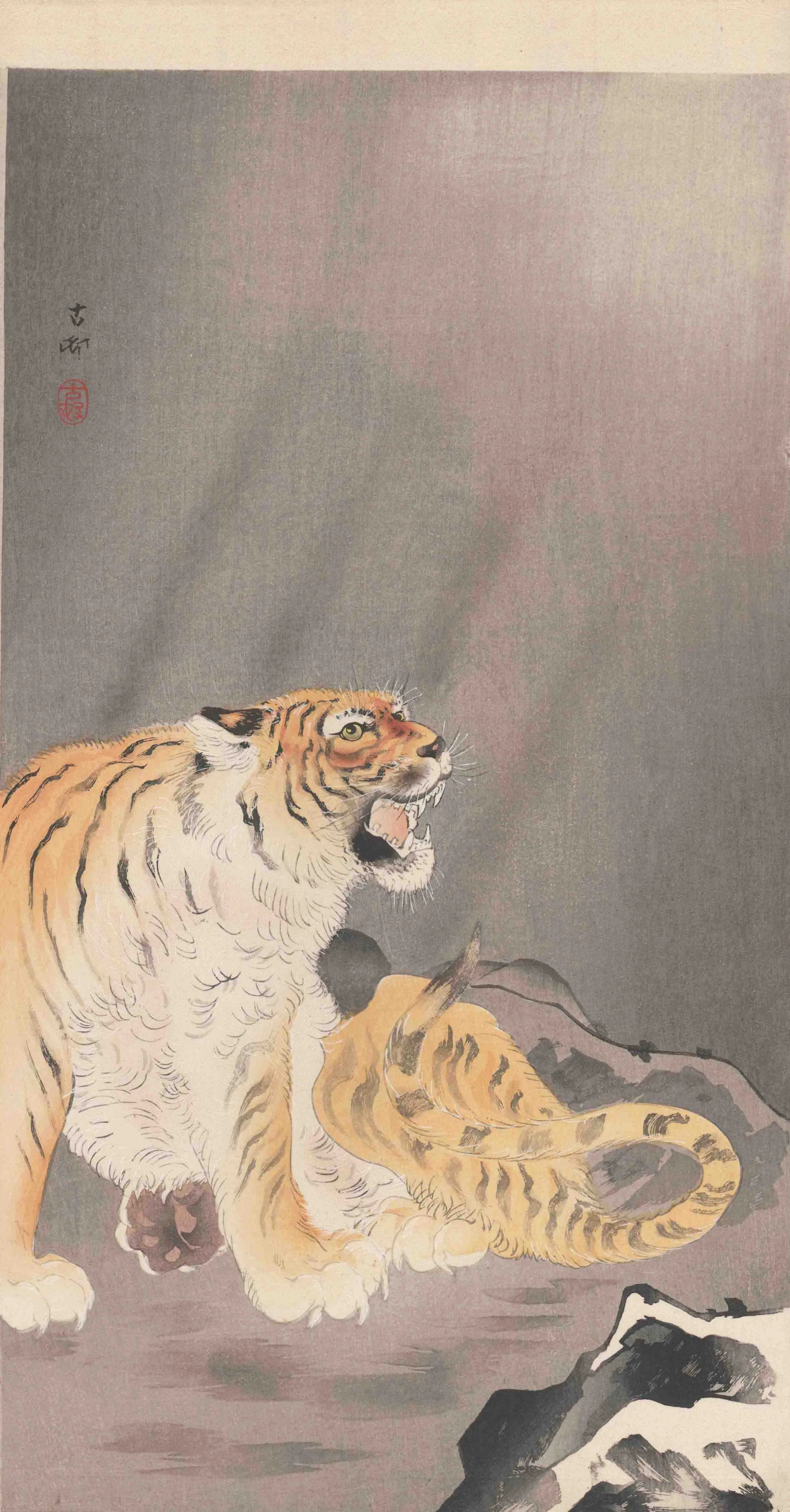 陽光と虎 小原古邨 1907(明治40)年頃