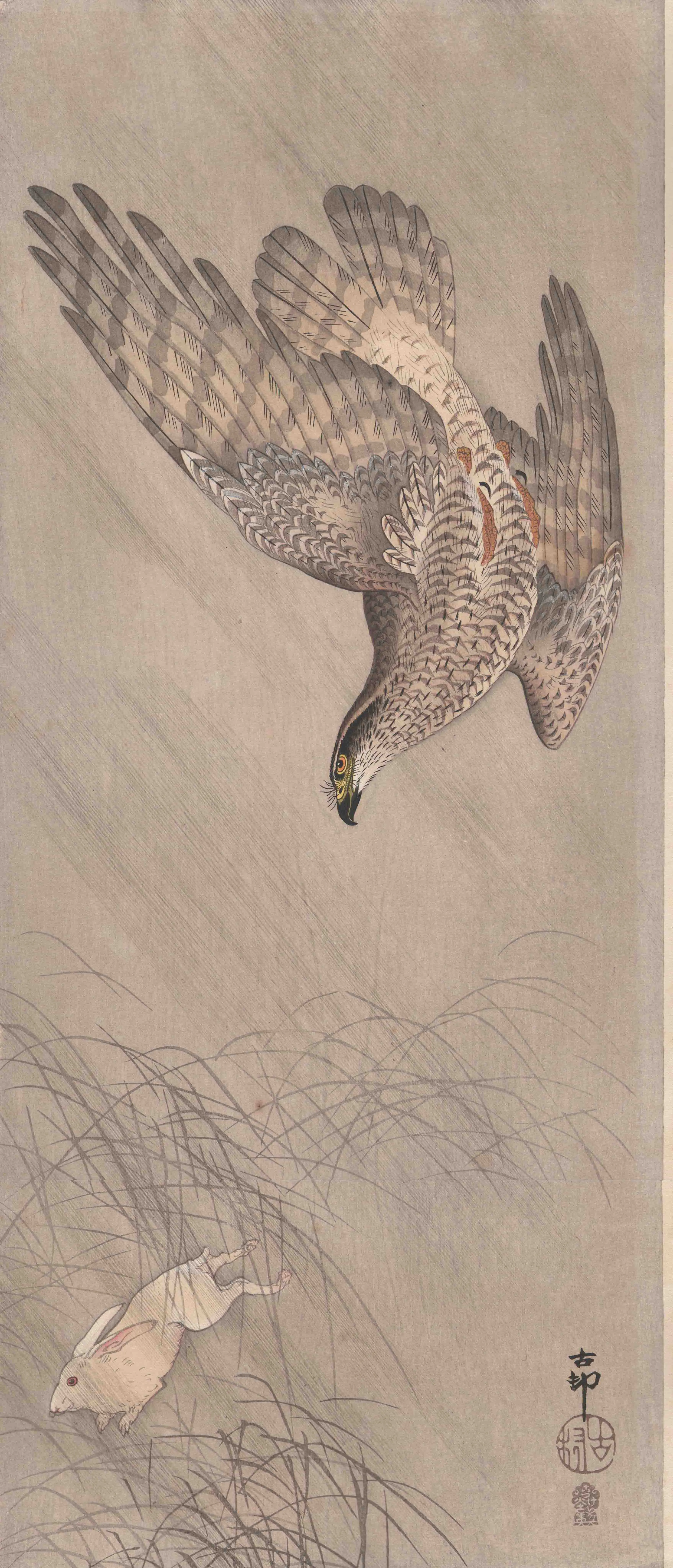 兎を追う大鷹 小原古邨 1907(明治40)年頃