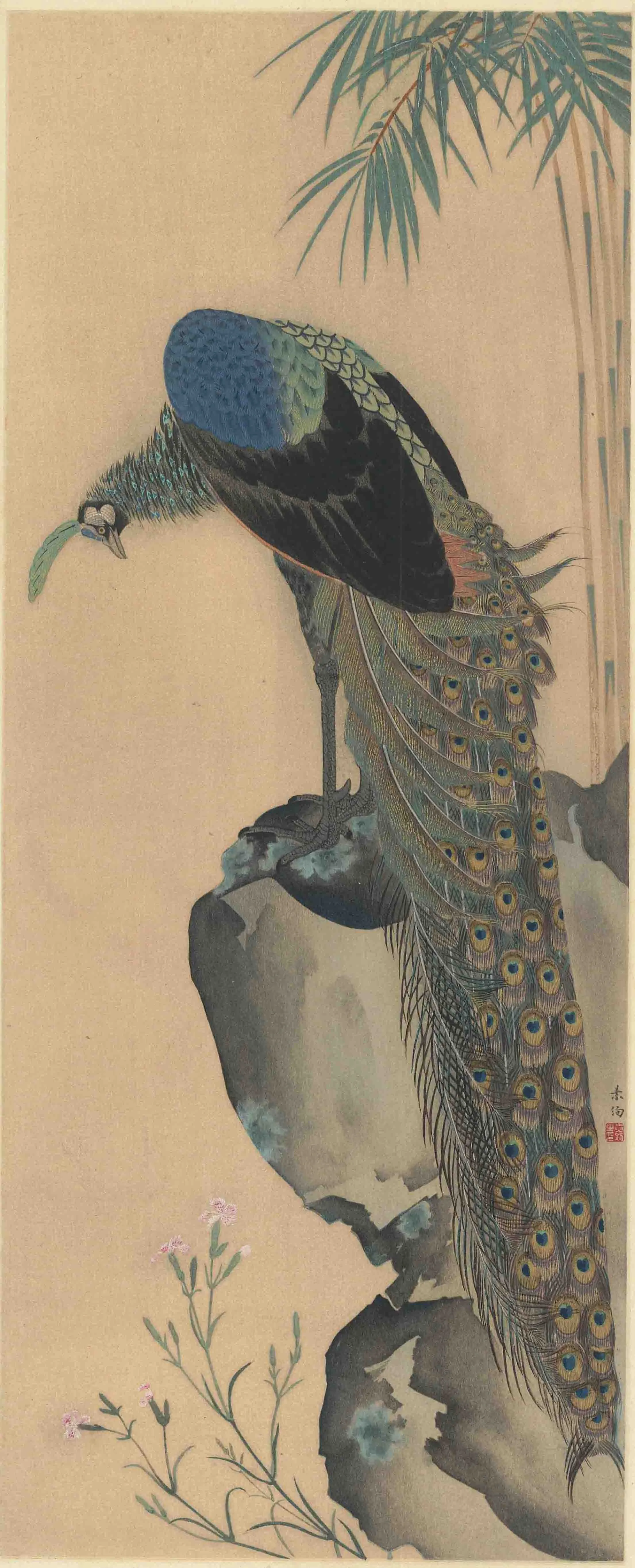 国華 山口素絢筆 孔雀図 作者不明 1916(大正5)年
