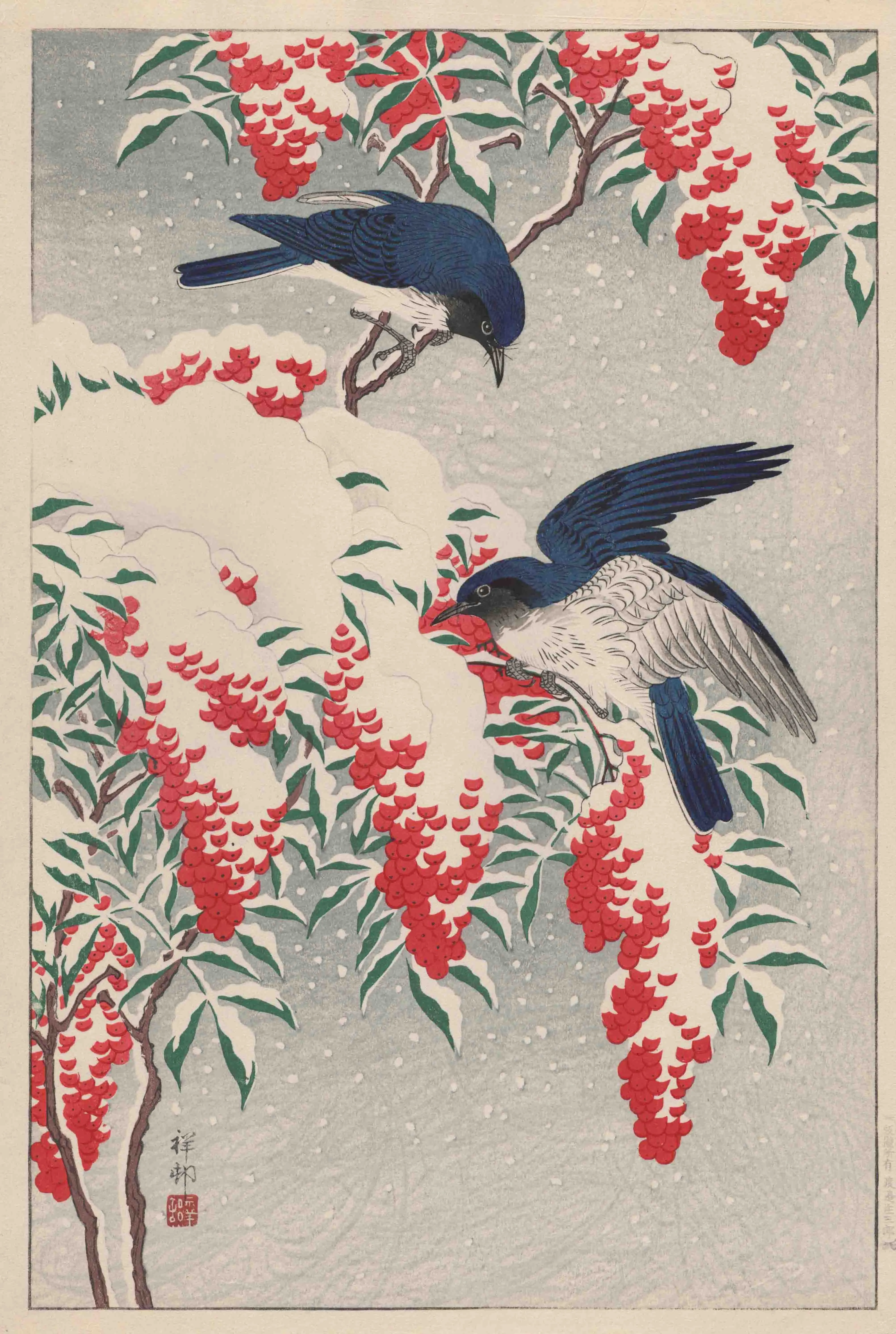 二羽の瑠璃鳥と雪の南天 小原祥邨 1929(昭和4)年